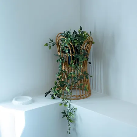 Mare Ii - In Old Harbor * 干尼亞